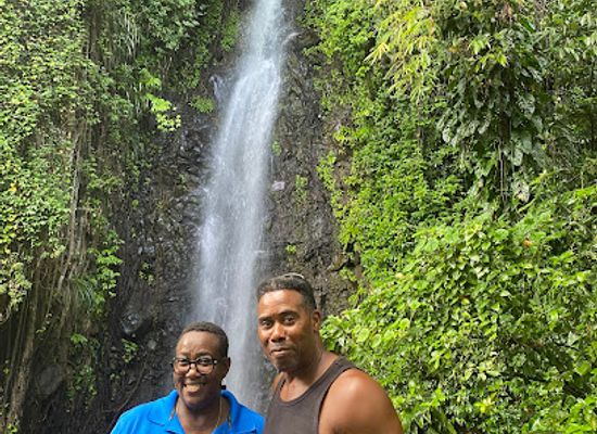 saint-vincent-and-the-grenadines/saint-george/landmark/trubb-taxi-tours-svg