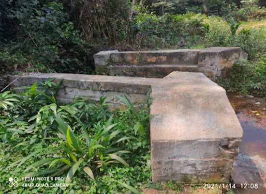 cameroon/east-region/landmark/dja-faunal-reserve
