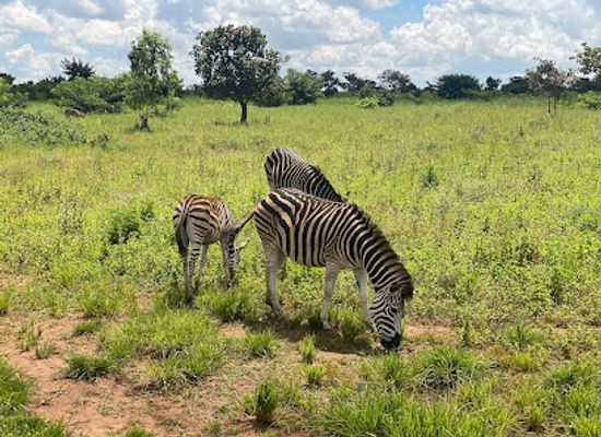 malawi/majete-wildlife-reserve/landmark/r-l-game-ranch