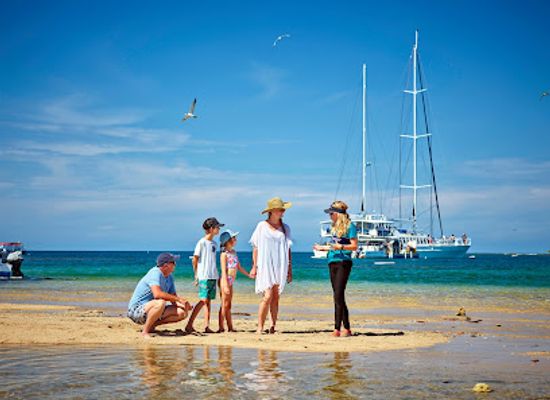 australia/cairns/landmark/great-barrier-reef-tours-port-douglas