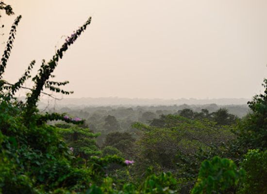 cote-d-ivoire/lagunes/landmark/azagny-national-park