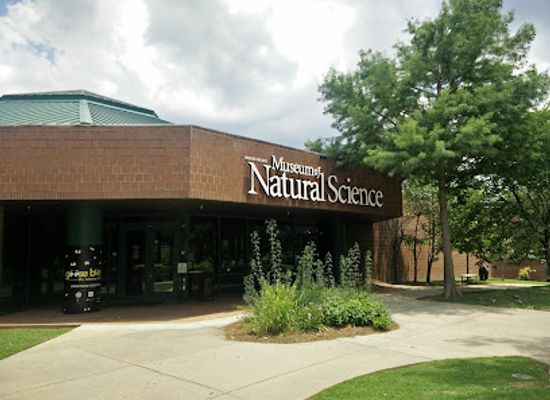 mississippi/jackson/fondren/landmark/mississippi-museum-of-natural-science