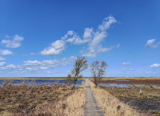 denmark/laso/attraction/holtemmen