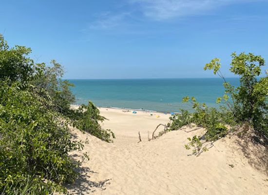 indiana/indiana-dunes-national-park/landmark/indiana-dunes-national-park-porter-beach