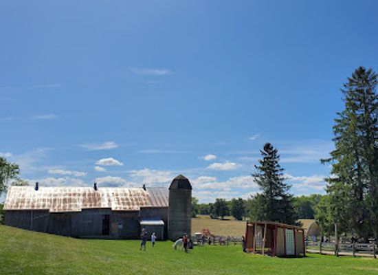 canada/peace-river-country/landmark/the-donkey-sanctuary-of-canada