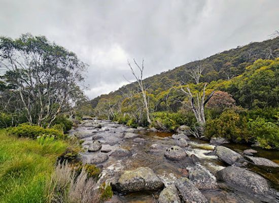 australia/kosciuszko-national-park/landmark/thredbo