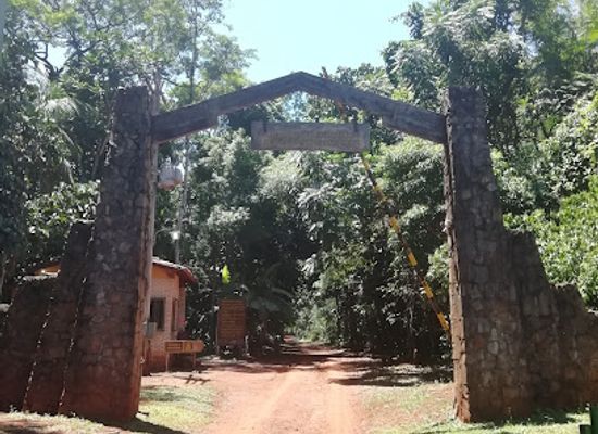paraguay/hernandarias/landmark/museo-moises-bertoni