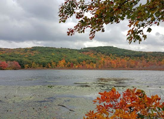 connecticut/bear-mountain/landmark/sharon-audubon-center