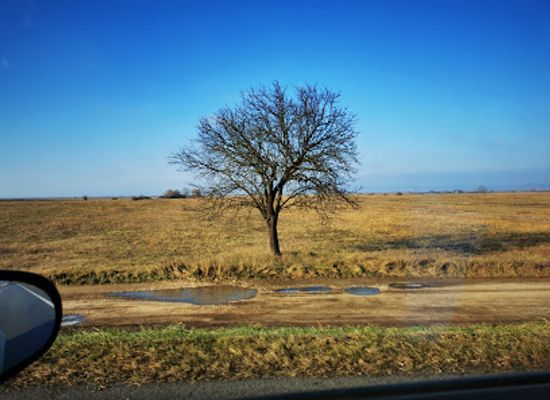 austria/neusiedler-see/landmark/neusiedler-wiesen