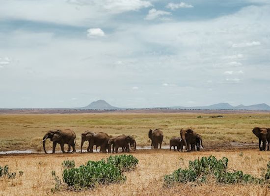 tanzania/kilimanjaro-region/landmark/tarry-adventures-and-safaris