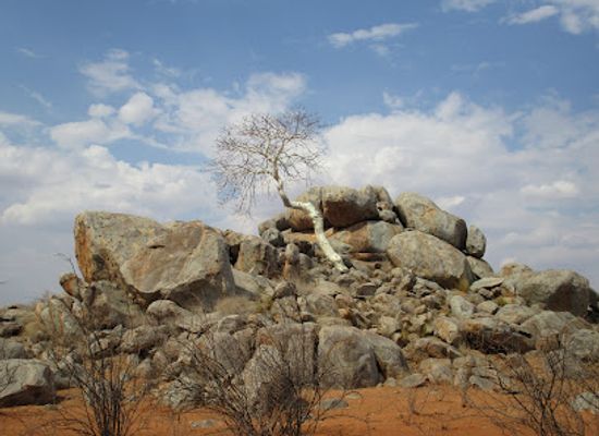 namibia/oshakati/landmark/namibia-holidays-tours-safaris