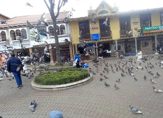 ecuador/loja/landmark/plaza-de-la-federacion-de-loja-o-santo-domingo