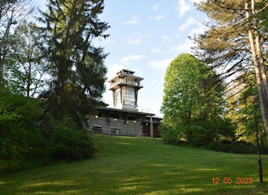 poland/białowieża-forest/landmark/natural-forest-museum-bialowieza-national-park