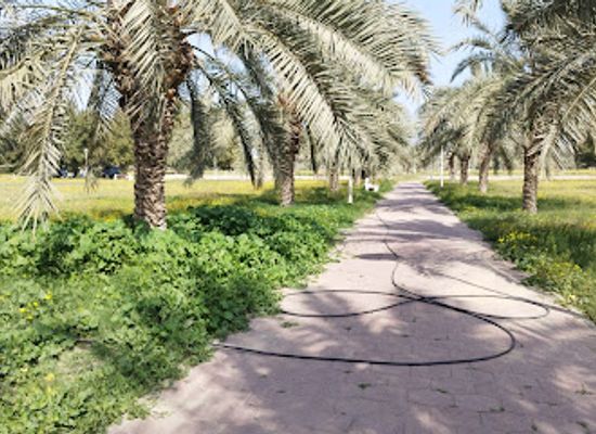 kuwait/al-ahmadi-governorate/landmark/eqaila-park