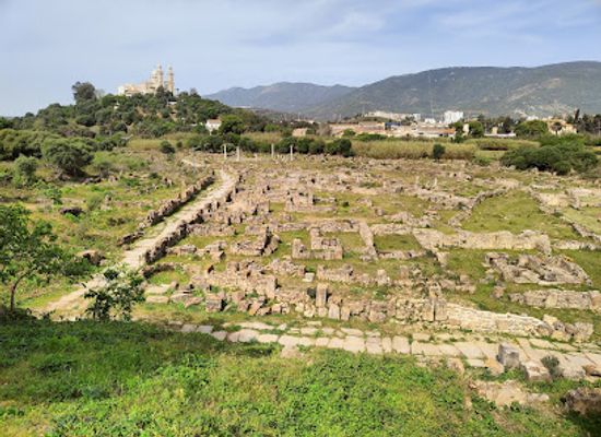 algeria/annaba/landmark/ruins-of-hippo-hippo-regius