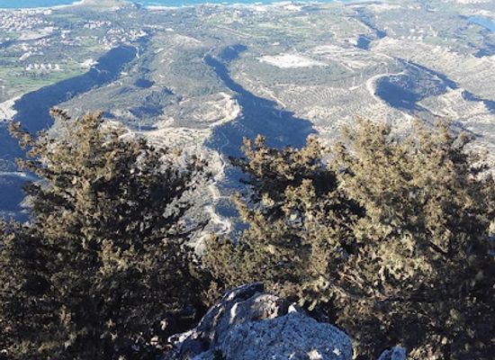 cyprus/karpas-peninsula/landmark/buffavento-castle