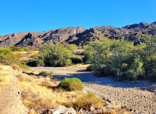 arizona/tonto-national-forest/landmark/scorpion-gulch