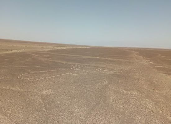peru/nazca-lines/landmark/the-hummingbird-nazca-lines