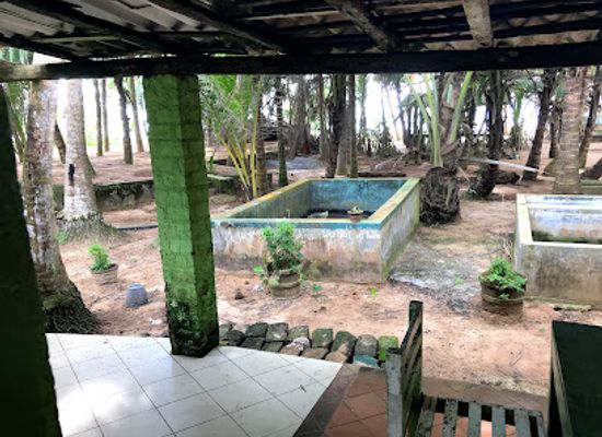 sri-lanka/bentota/landmark/sea-turtle-project
