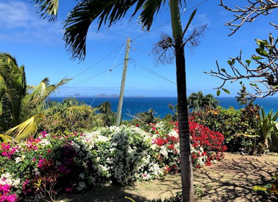 grenada/sauteurs/landmark/armadillo-guesthouse-restaurant