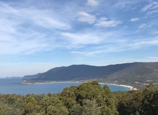 australia/tasmanian-wilderness/landmark/tasmanian-devil-unzoo