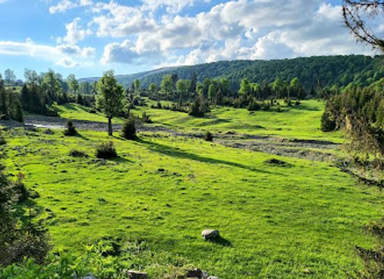 georgia/adjara/landmark/goderdzi-alpine-garden