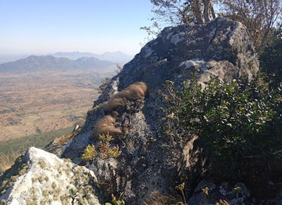 malawi/mulanje-mountain/landmark/chongoni-rock-art-area