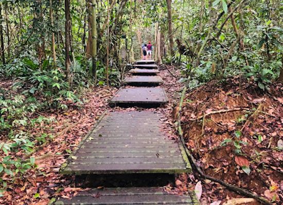 malaysia/taman-negara-national-park/landmark/park-headquarters