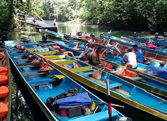 malaysia/west-coast/landmark/clearwater-cave-gua-air-jernih