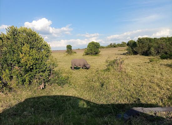kenya/laikipia-plateau/landmark/asilia-ol-pejeta-bush-camp