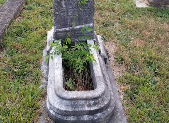south-carolina/spartanburg/landmark/oakwood-cemetery