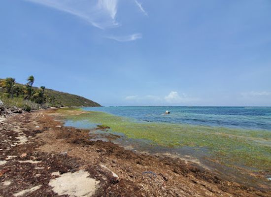 puerto-rico/puerto-rican-cordillera/landmark/playa-canalejo