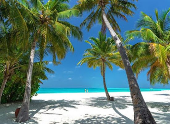 kenya/coastal-region/landmark/places-of-kenya