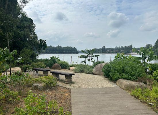 singapore/coney-island/landmark/little-grebes-round-island-route