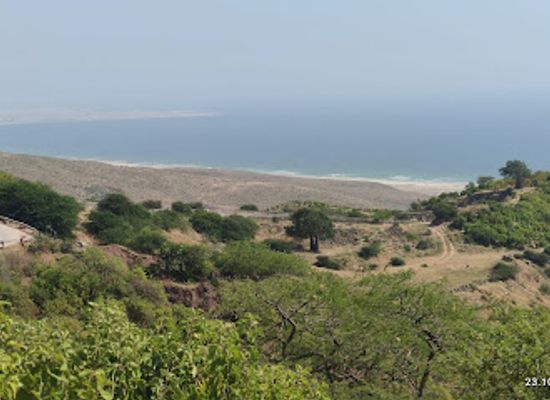 oman/mirbat/landmark/ain-hashir-wa-ashjar-al-tabladi