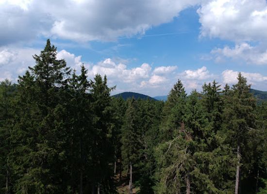 germany/hesse/landmark/silberberg-nature-reserve