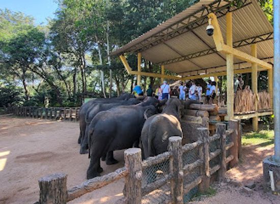 sri-lanka/pinnawala-elephant-orphanage/landmark/elephant-orphanage-entrance-gate-b