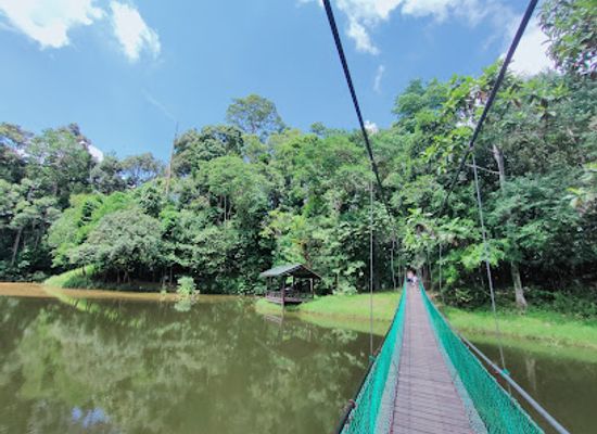 malaysia/sandakan/landmark/sandakan-rainforest-park