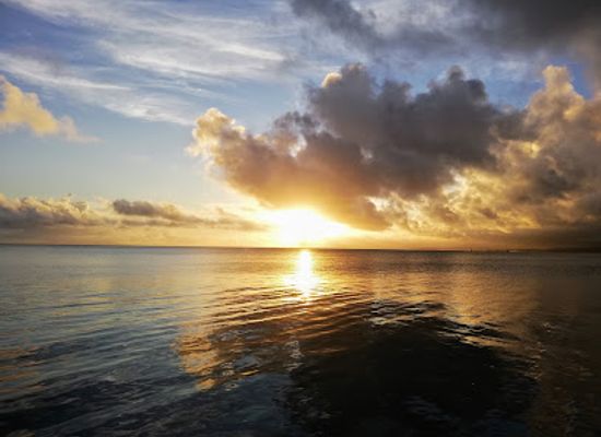 fiji/vanua-levu/landmark/albert-park