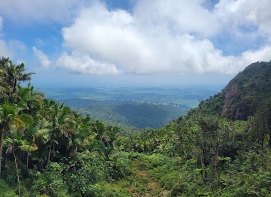 puerto-rico/yunque-national-forest/landmark/el-toro-peak