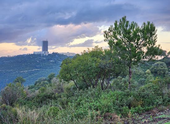 israel/haifa/carmel-center/landmark/mount-carmel-national-park