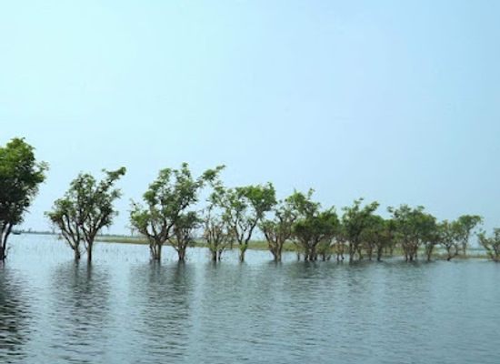 bangladesh/sylhet-division/landmark/sylhet-division