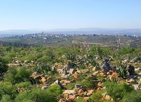 israel/northern-district/landmark/irusim