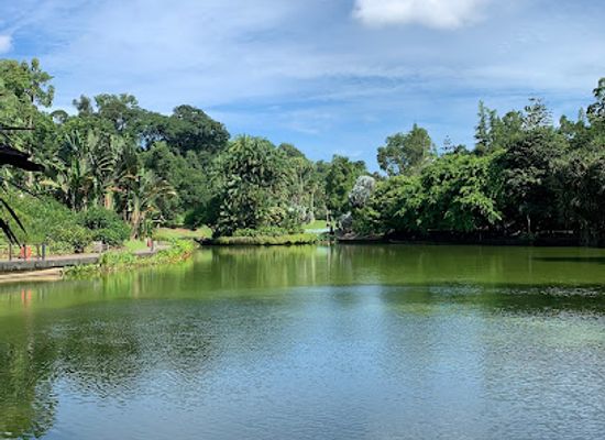 singapore/novena/landmark/singapore-botanic-gardens-eco-lake