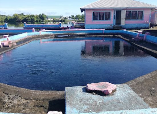 samoa/fagamalo/landmark/mataolealelo-spring