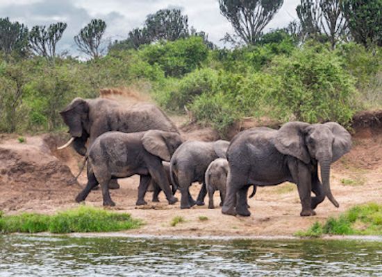uganda/western-region/landmark/kazinga-channel