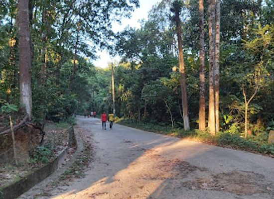 bangladesh/sylhet-division/landmark/tilagor-reserve-forest