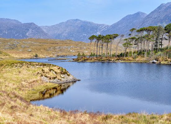 ireland/county-galway/landmark/pines-island-viewpoint