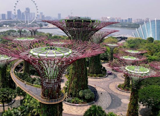 singapore/kallang/landmark/supertree-grove
