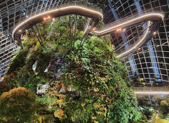 singapore/bukit-batok/landmark/cloud-forest